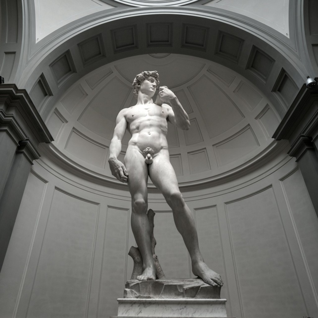 Galleria dell'Accademia: Tiquet d'entrada prioritària - Entrance Ticket