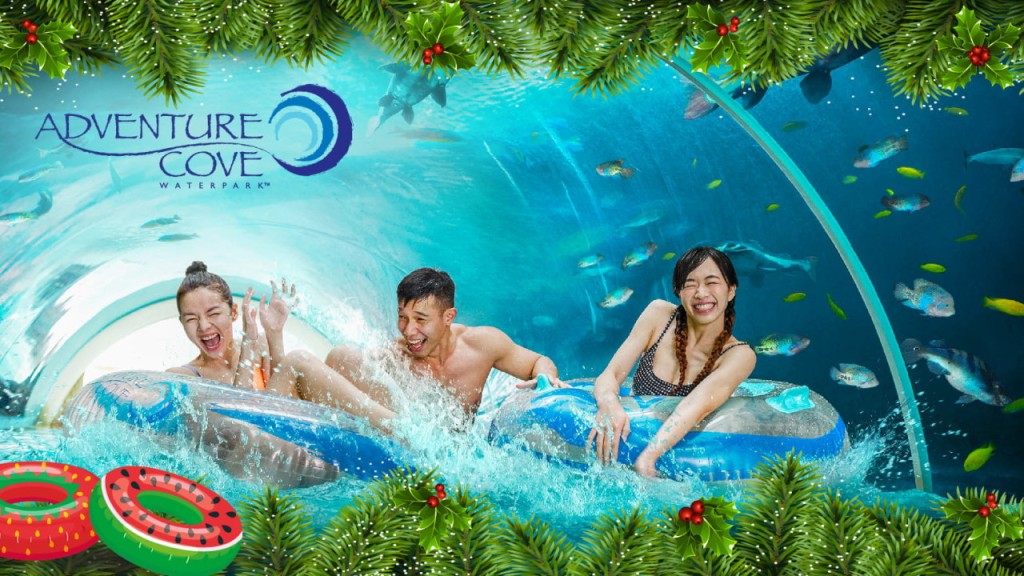 Entrada para Adventure Cove Waterpark (Adventure Cove Waterpark - Entrada de un día (fecha abierta))