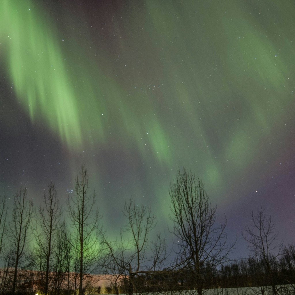 Akureyri : Circuit des aurores boréales en petit groupe