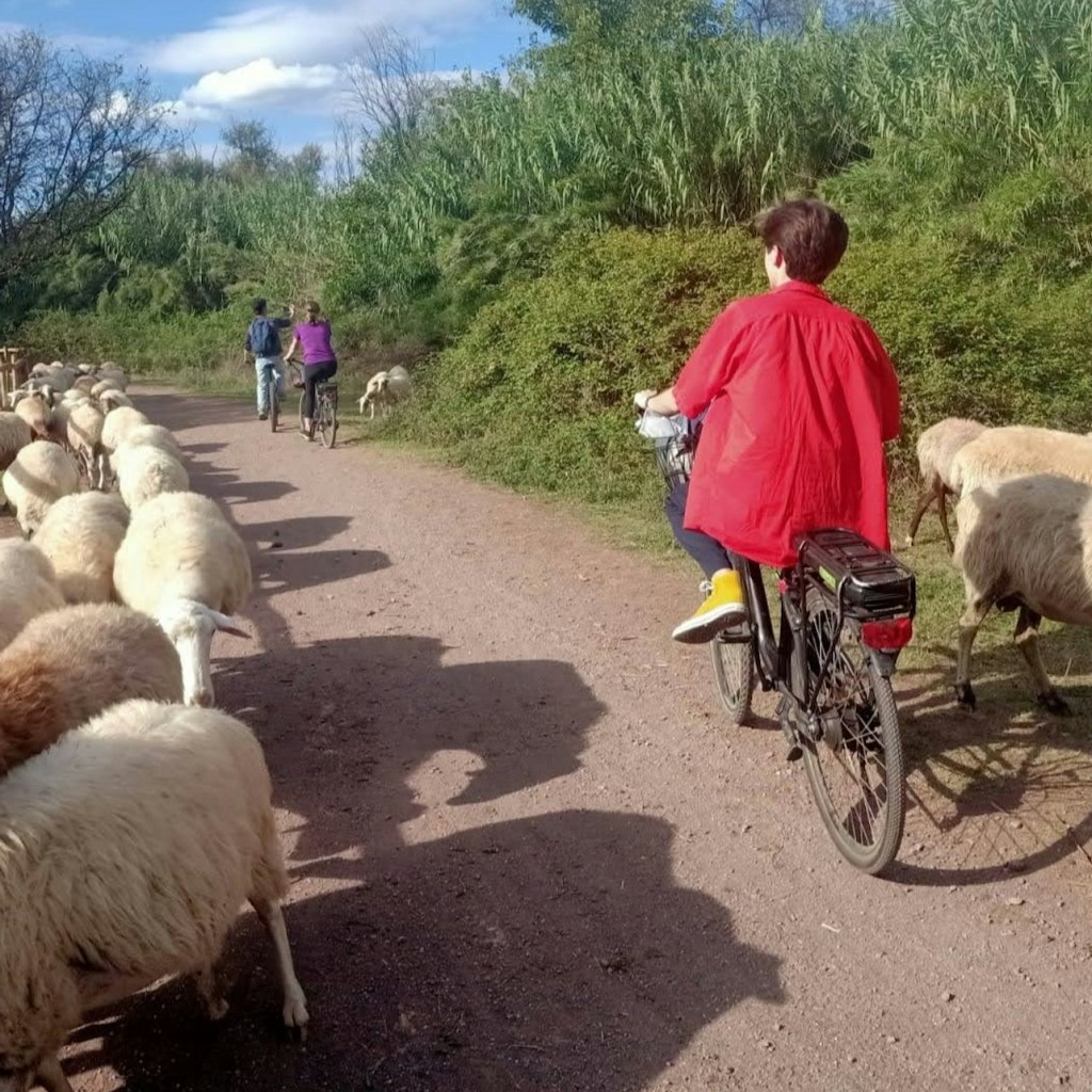 Appia Antica, Aqueducts & Catacombs Rome: E-Bike Tour