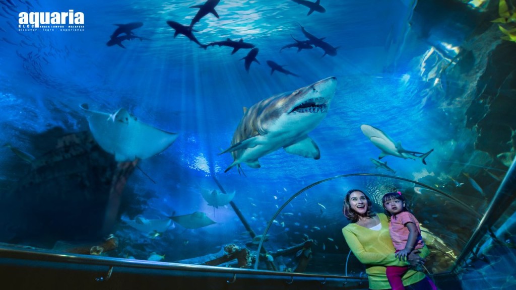 Aquaria KLCC Ticket (Family Bundle for Two Adults + One Child (Weekdays) - International Travellers)