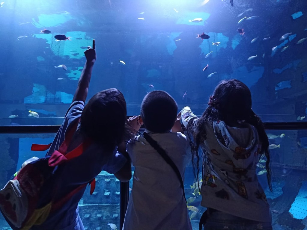 Aquaria Phuket (Aquaria Phuket - Admission (Thai Residents))