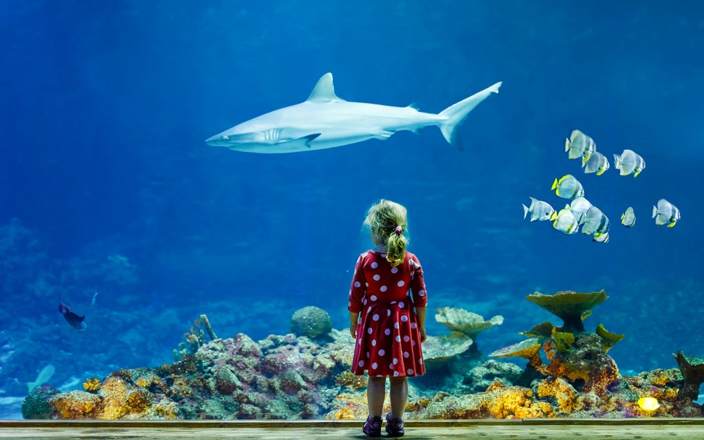 Aquarium de Paris: Tickets für bevorzugten Zugang (Low price)
