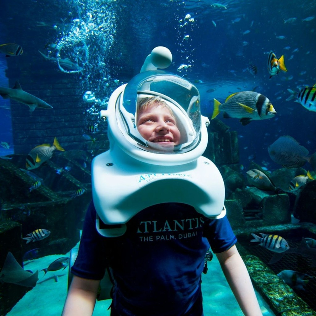 Aquaventure World: Passi de dia de parc aquàtic + Snorkel o safari amb taurons