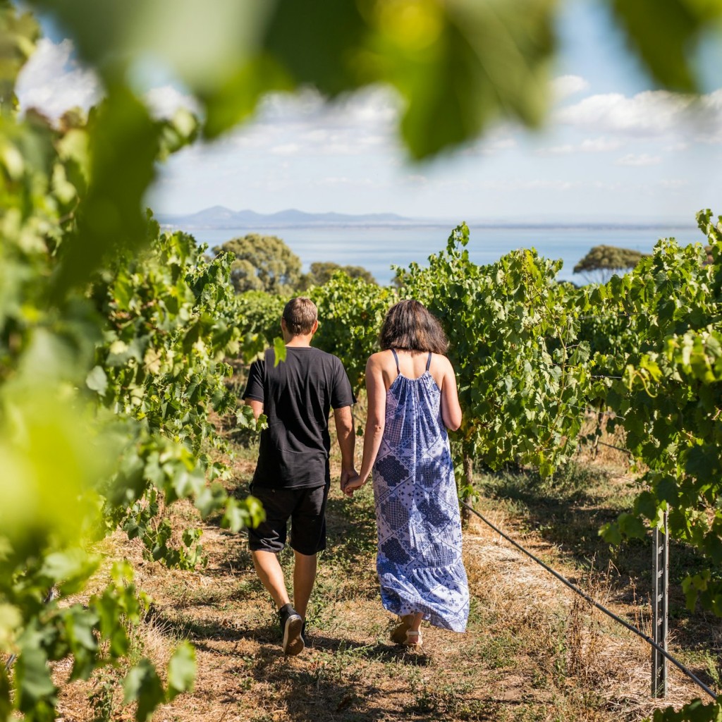 Al voltant de la badia: excursió d'un dia des de Melbourne amb tasts de menjar i vi