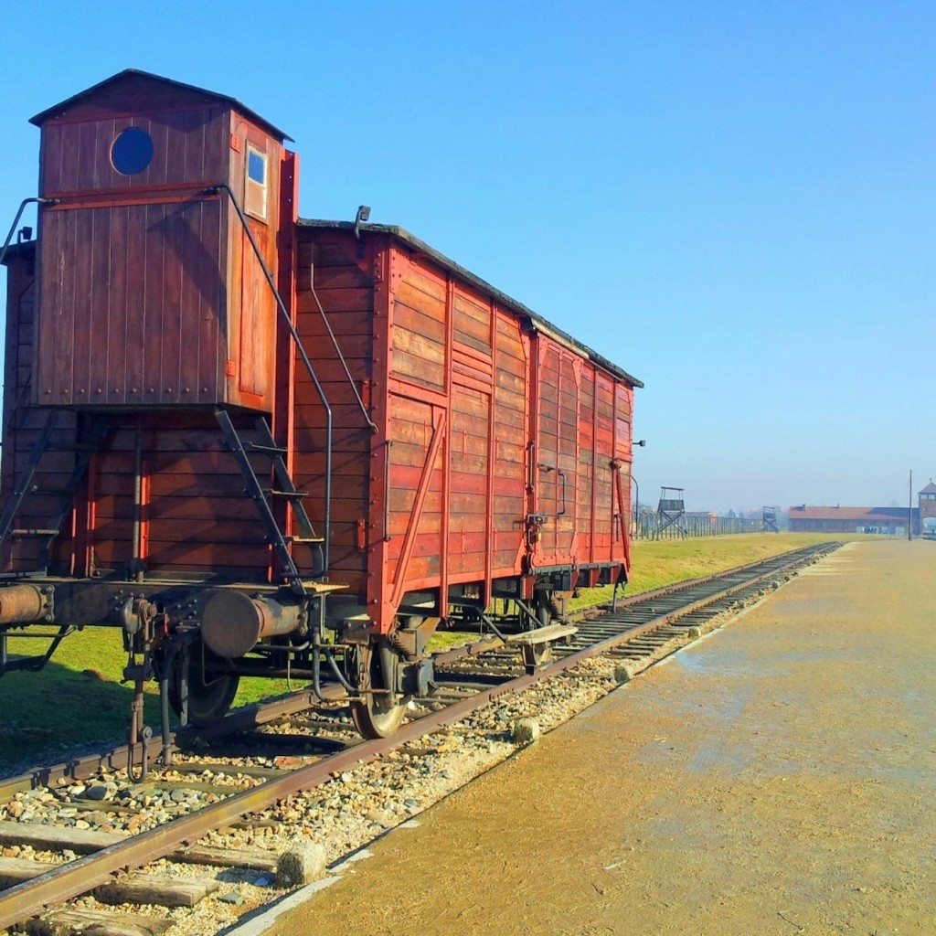 Auschwitz-Birkenau : Billet d'entrée + Visite guidée