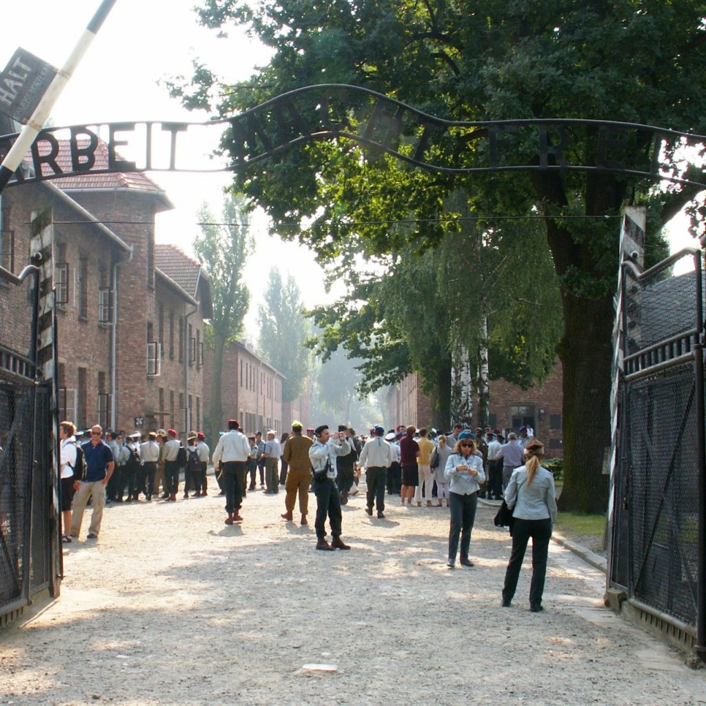 Auschwitz-Birkenau : Visite guidée + Transports + Déjeuner