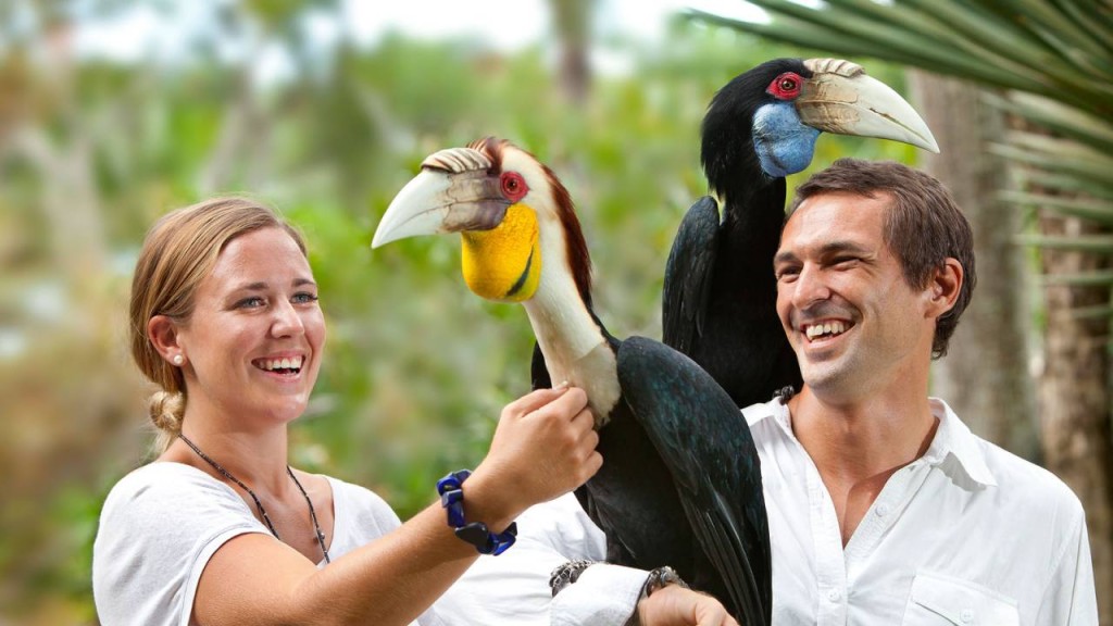Bali Bird Park Ticket (Bali Bird Park - Admission (Indonesian Citizens))
