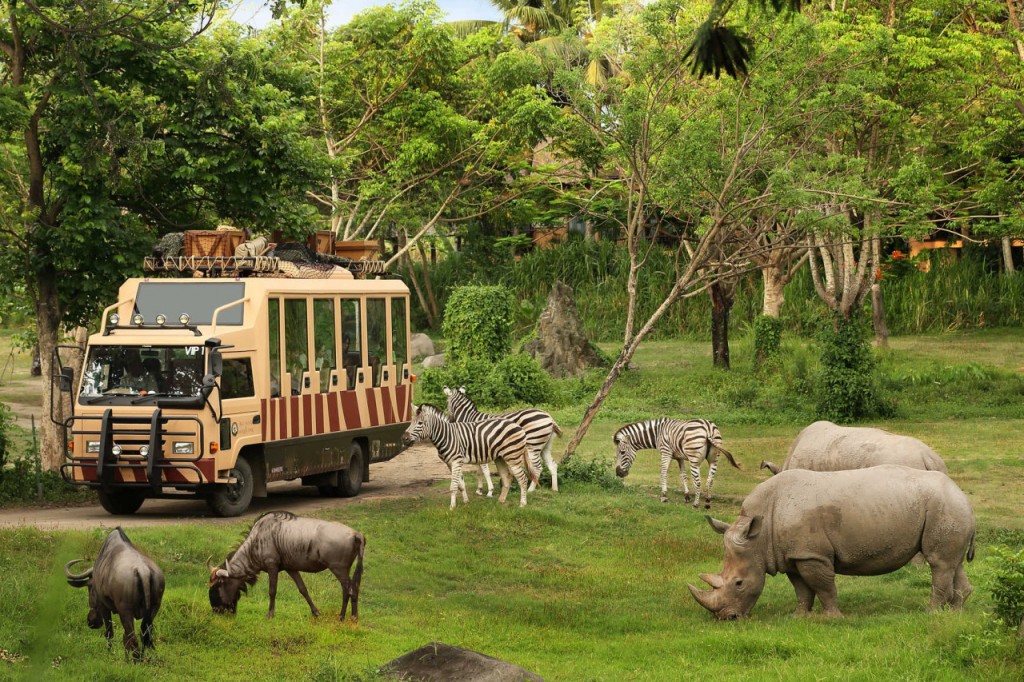 Marine Safari Bali Ticket (Marine Safari Bali: VIP Package (General Day Admission VIP seats and lunch))