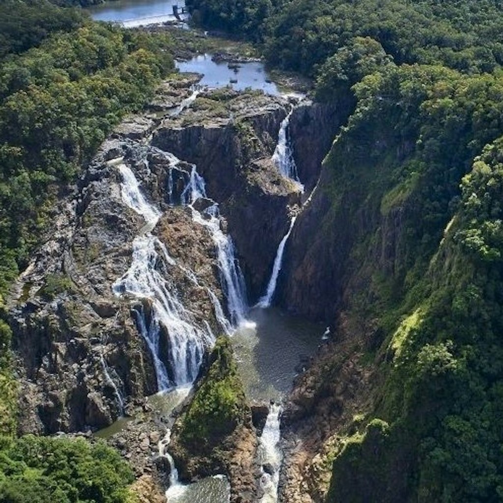 Barron Falls & Cattana Wetlands: Tour + Lunch + Cableway or Scenic Railway Ride