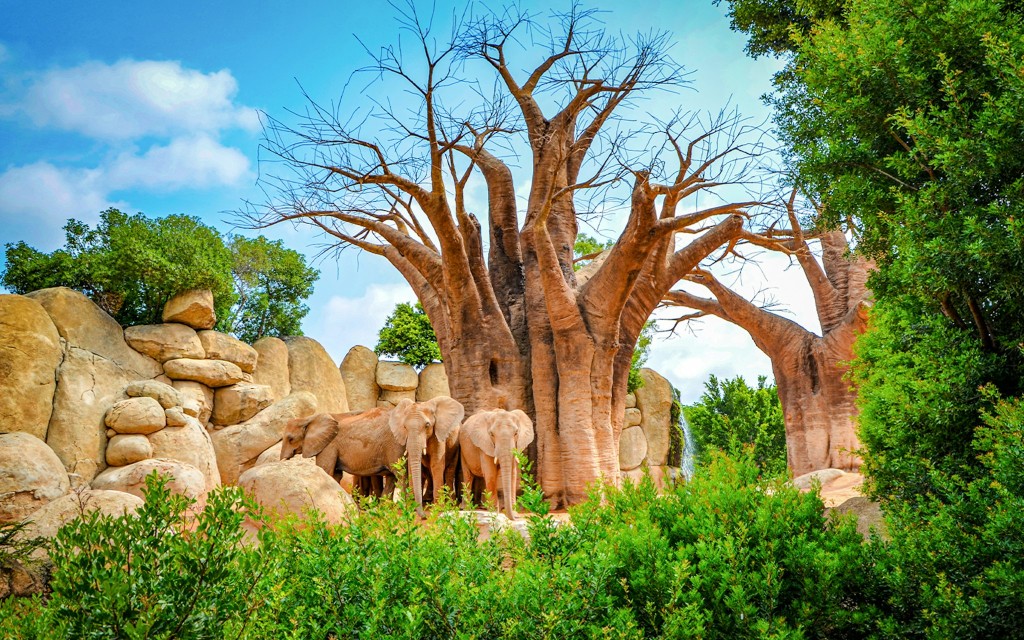 Tickets für den Bioparc Valencia (General)