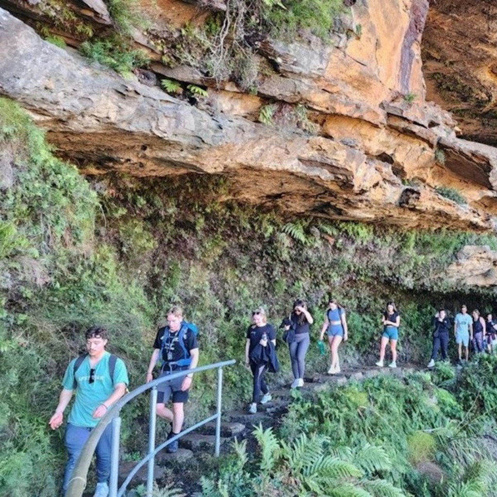 Muntanyes blaves: visita guiada de dia complet des de Sydney + passeig per les cascades + dinar