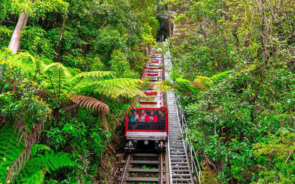 Billets pour le monde scénique des Montagnes Bleues (Scenic World Pass + 24-Hour HOHO Pass)