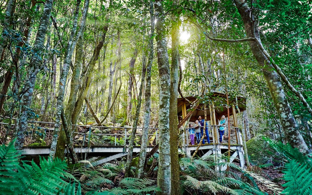 Visite des Montagnes bleues avec Scenic World et le zoo de Sydney (Blue Mountains, Scenic World, Sydney Zoo & Ferry Tour)