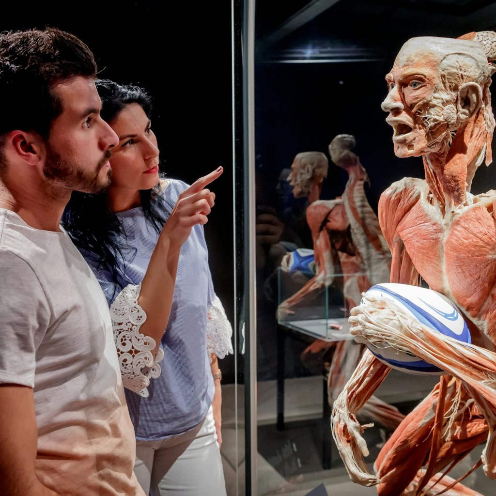 BODY WORLDS Berlin - Le premier musée BODY WORLDS