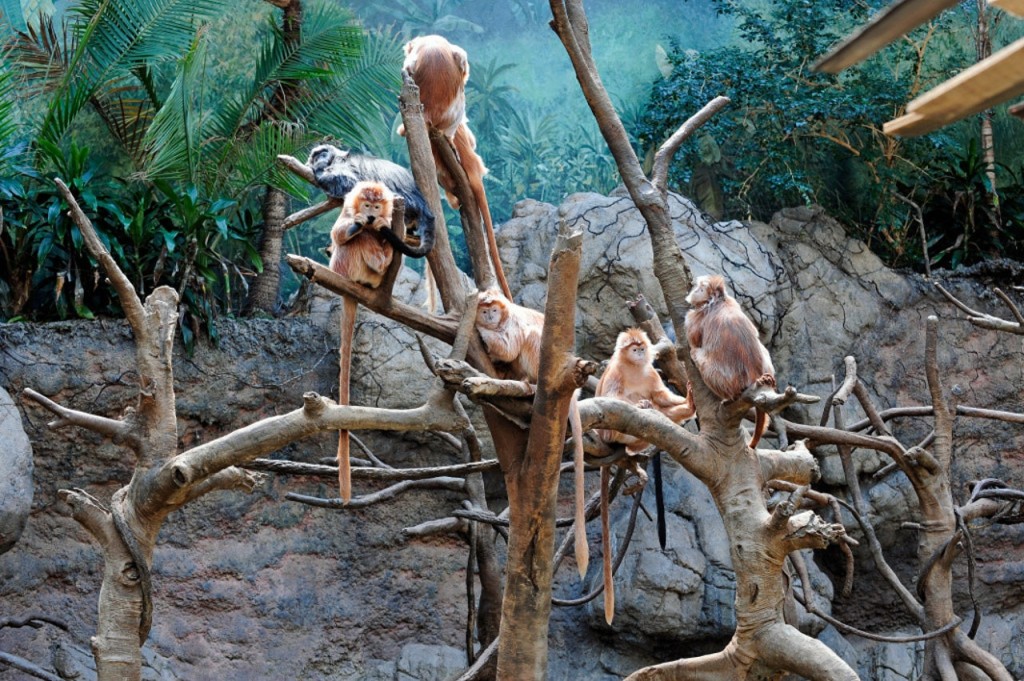 Bronx Zoo (Bronx Zoo - Entrada)