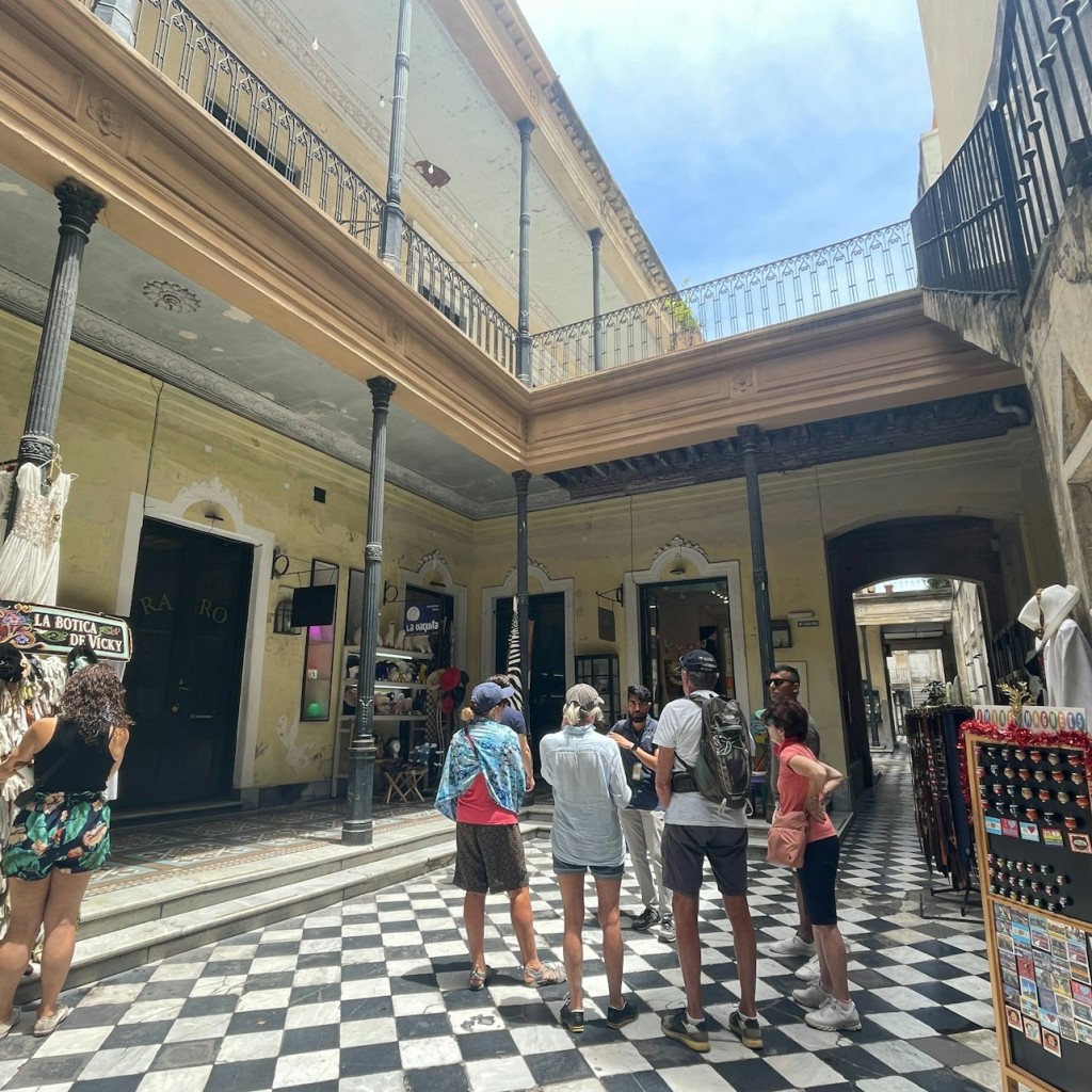 Buenos Aires: Museu MALBA i Teatre Colón + Tour a peu per la ciutat