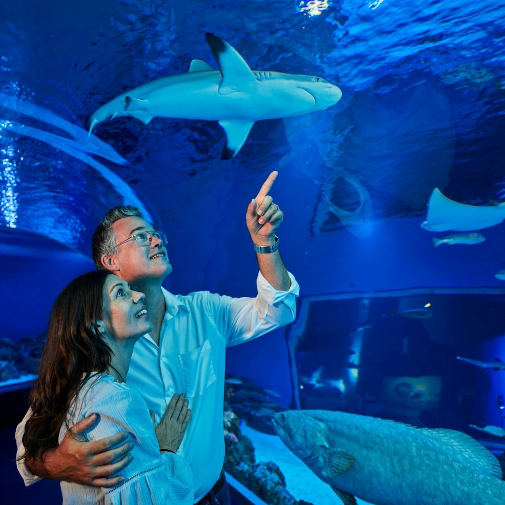 Acquario di Cairns e Tomba dei Faraoni: Biglietto d'ingresso