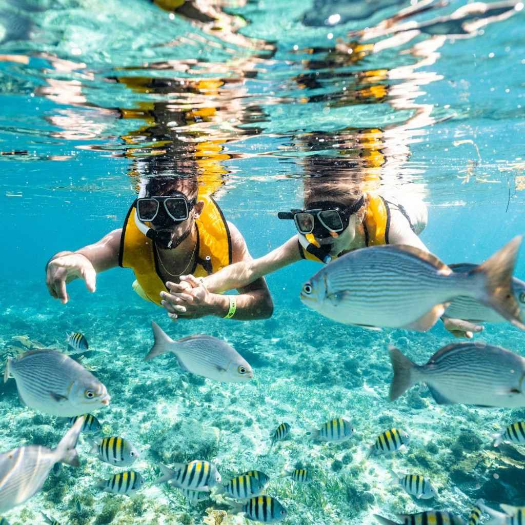 Cancún: Ruta de snorkel 5 en 1