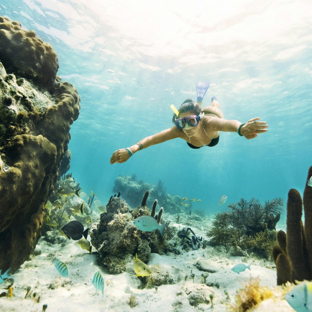 Cancún: Museo subacqueo MUSA, tour in motoscafo e snorkeling nella giungla