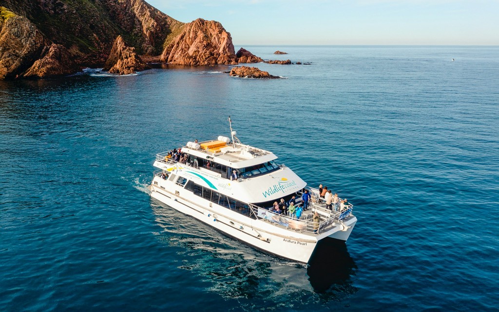 Cape Woolamai Morning Cruise at Phillip Island (General)