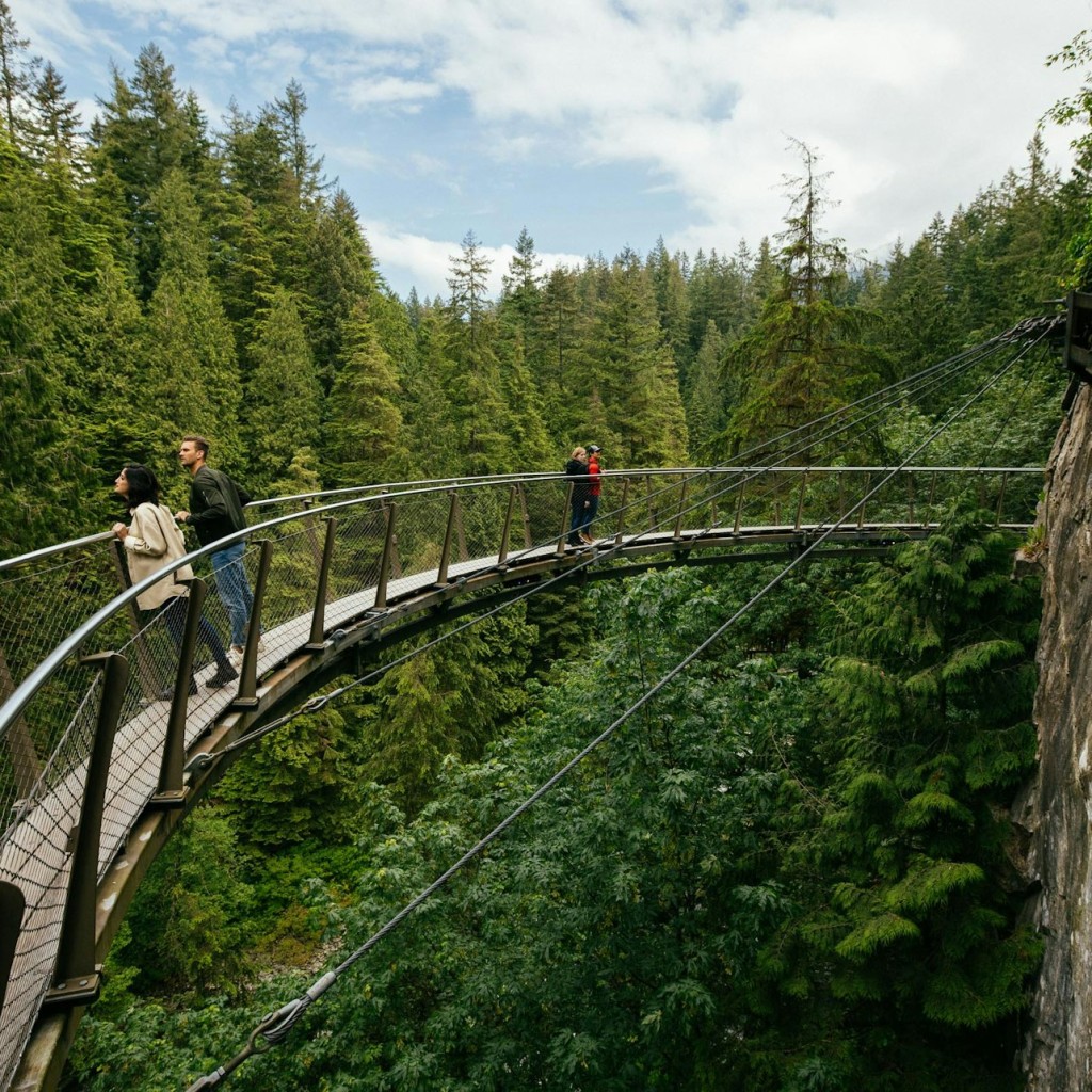 Parque del Puente Colgante de Capilano: Entrada