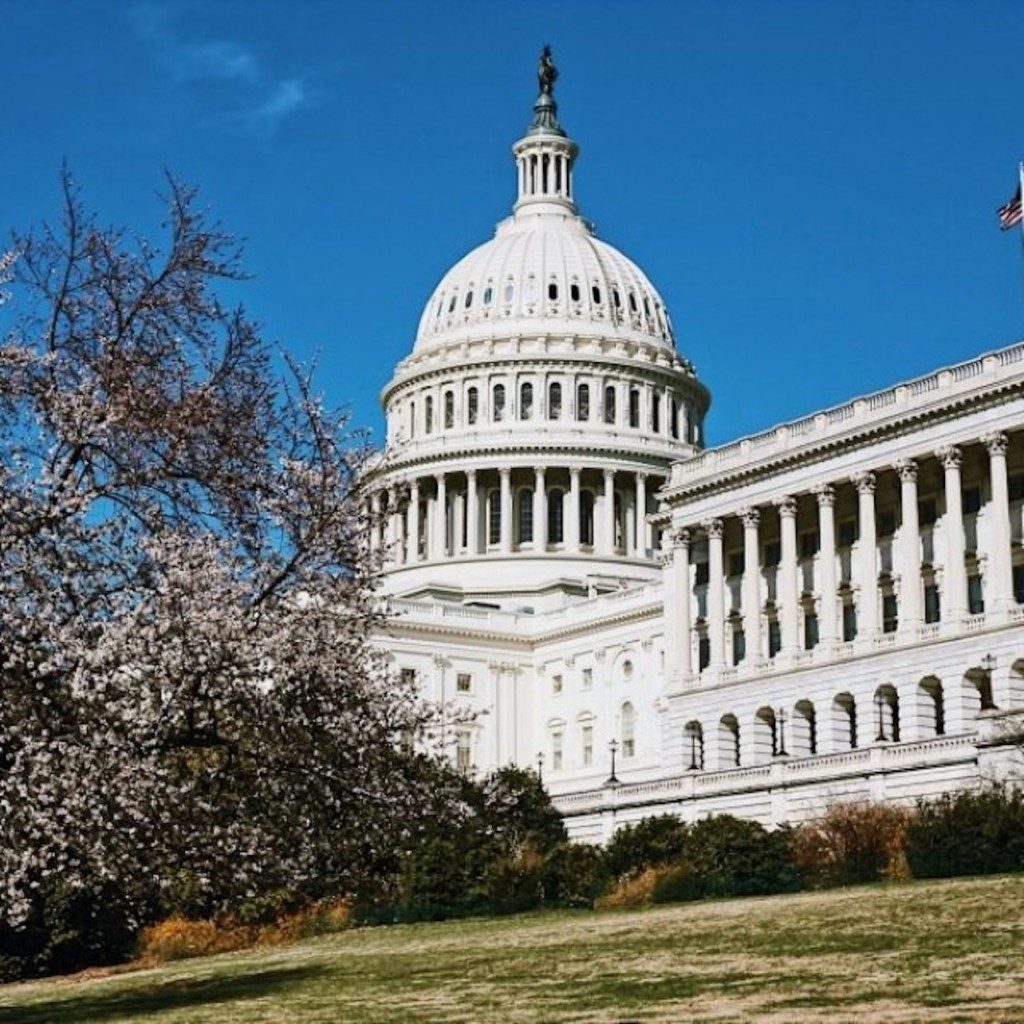 Capitol Hill: tour guiat a peu per a grups petits