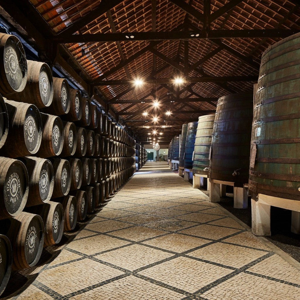 Bodegas de Cockburn: Visita guiada + Cata de vinos
