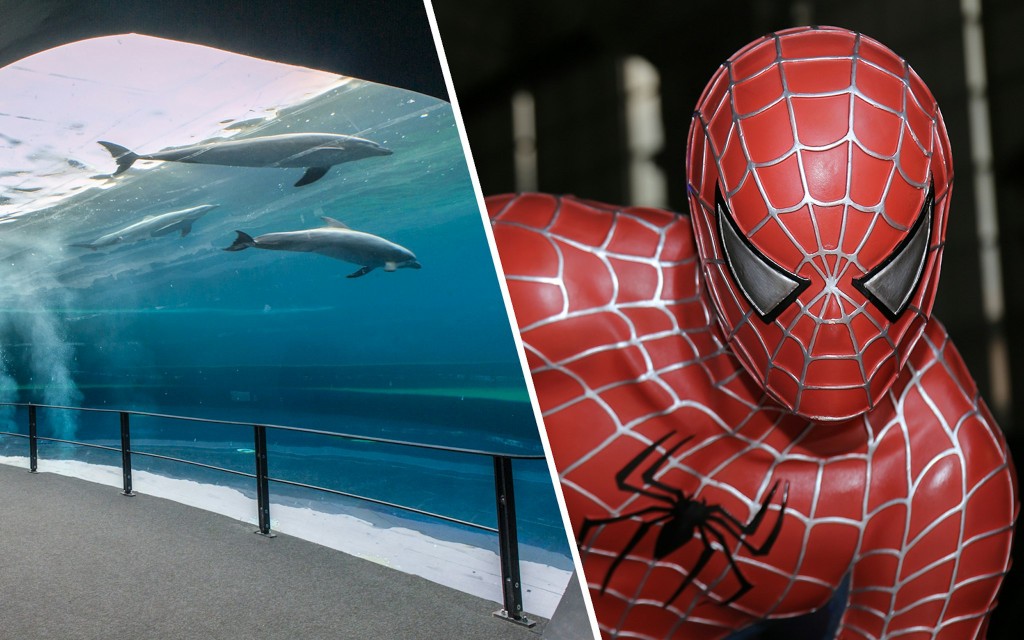 Kombi: Genua Aquarium + FantaCinema Museum Tickets (Combo: Genoa Aquarium + Fantacinema Museum Tickets)