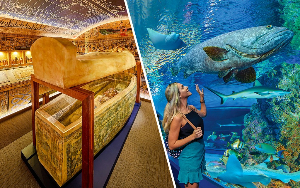 Combo: Tomba dei Faraoni + Biglietti per Cairns Aquarium (Combo: Tomb of the Pharaohs + Cairns Aquarium)