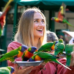 Wildpark Currumbin: Eintrittskarte