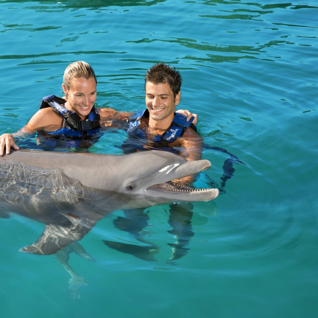 Delphinus Xel-Há : Billet avec accès rapide + Prise en charge à l'hôtel + Nager avec les dauphins - Dolphinclusive Ride