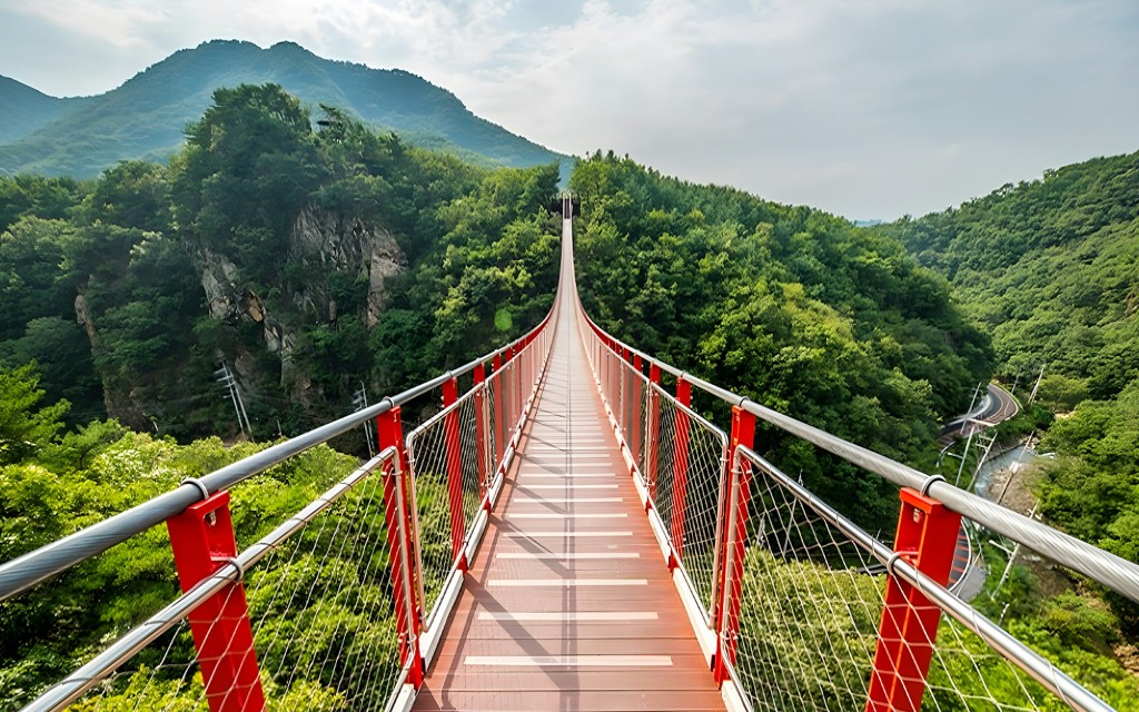 Excursion d'une journée dans la DMZ avec visite du pont suspendu (DMZ Tour + Mt. Gamaksan Suspension Bridge)