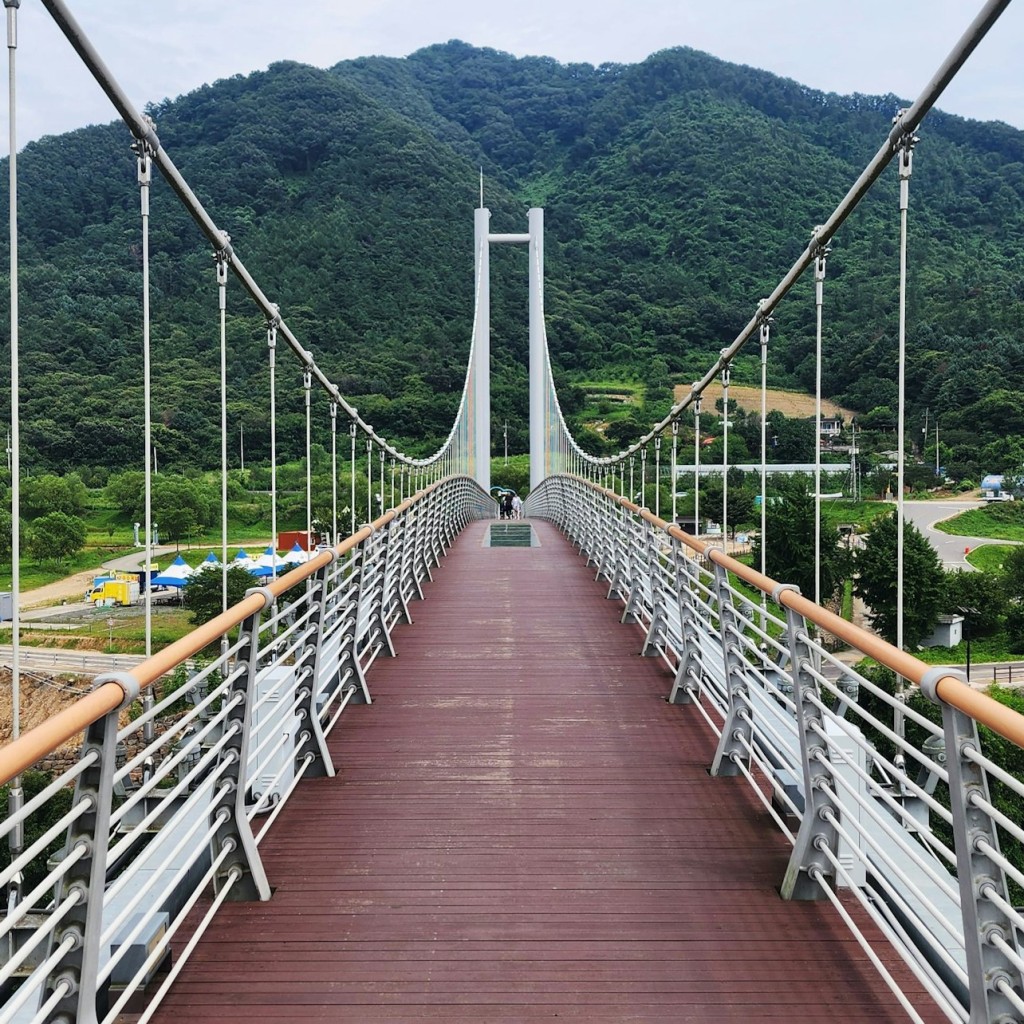 DMZ : Second Tunnel et Sky Bridge - Visite guidée d'une journée au départ de Séoul