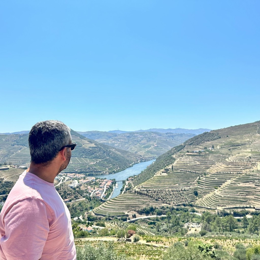 Douro Valley: Day Trip + Wine, Cheese, & Olive Oil Tasting from Porto