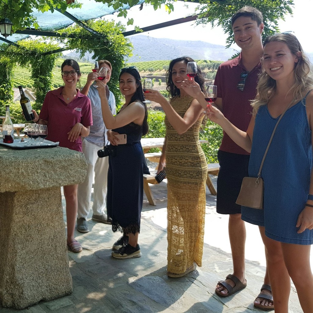 Douro Valley: Wine Tour + Lunch from Porto