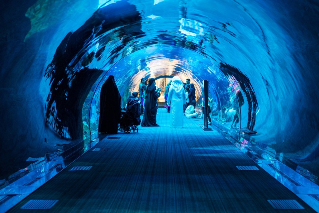 Entrada para Dubai Aquarium and Underwater Zoo (Dubai Aquarium and Underwater Zoo - Entrada Gold)