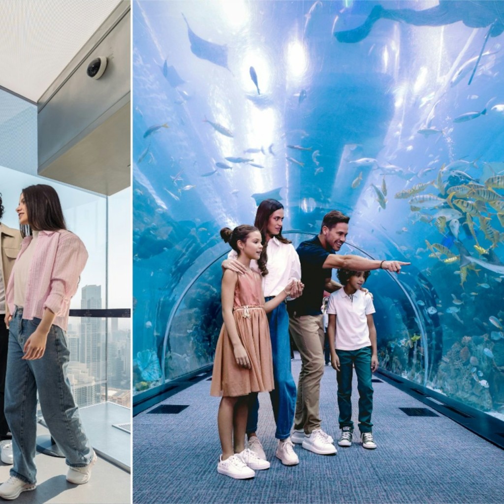 Acquario di Dubai e Osservatorio Sky Views: Biglietto d'ingresso + scivolo di vetro