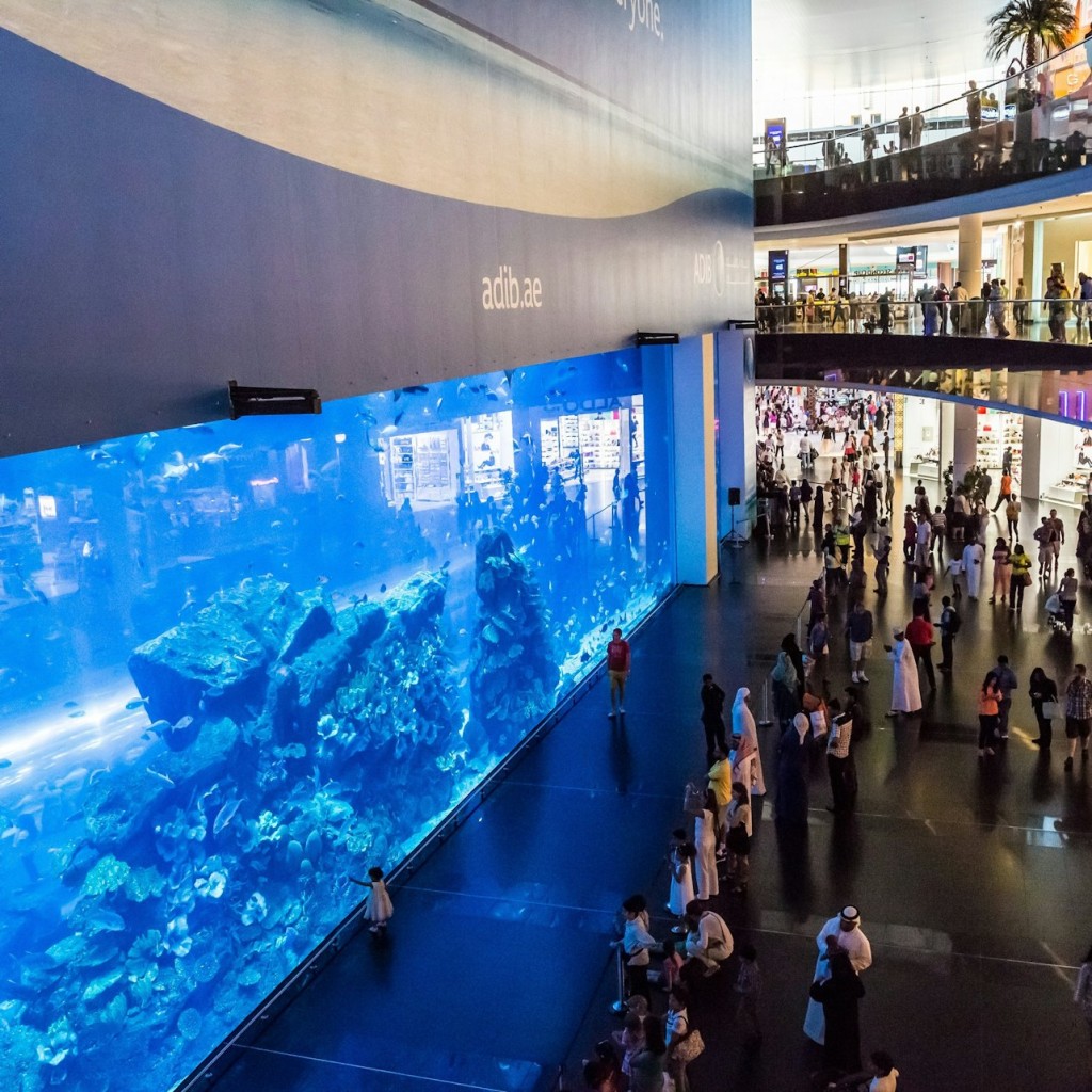 Acquario e zoo sottomarino di Dubai: Platinum Pass