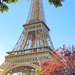 Eiffel Tower 2nd Floor & Summit Option + Seine River Cruise