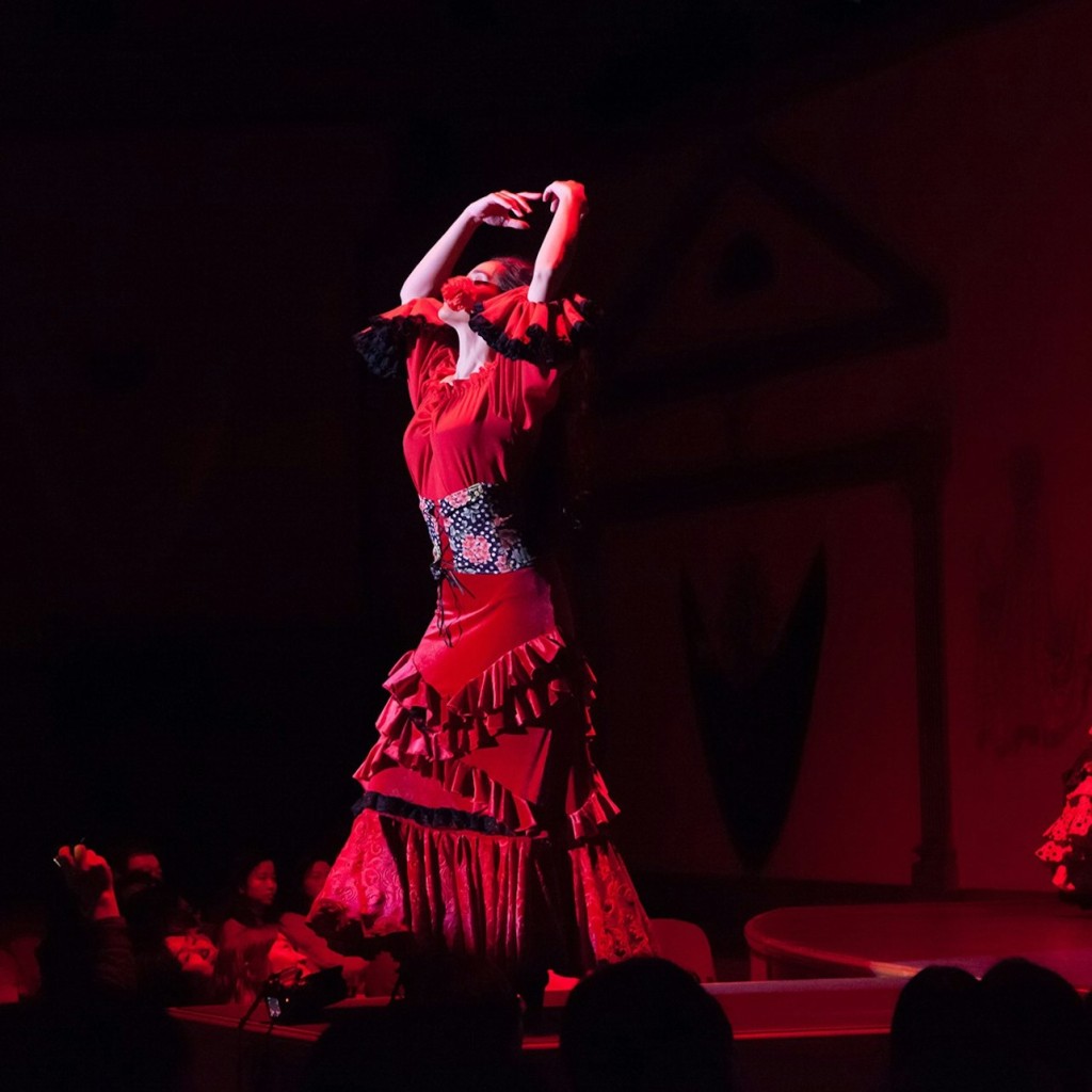El Palacio Andaluz Sevilla: Flamenco solo