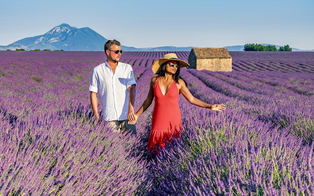 Von Aix-En-Provence aus: Lavendelfelder Tour (Half-Day Afternoon Tour)