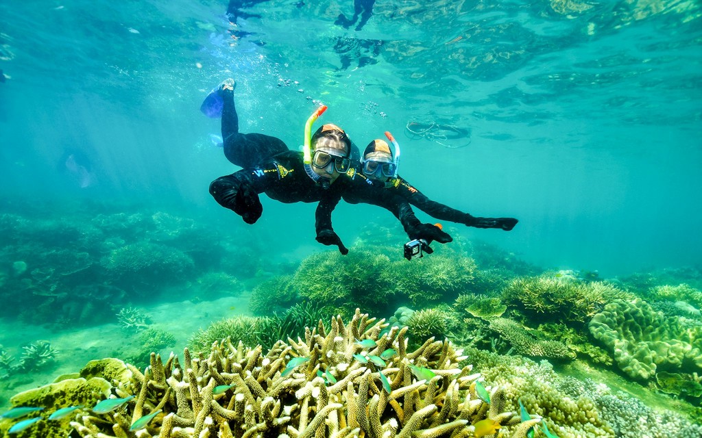 Von Cairns aus: 2 Inseln an 1 Tag – Tour nach Fitzroy Island + Green Island (2 Islands Day Trip + Glass Bottom Boat Tour)