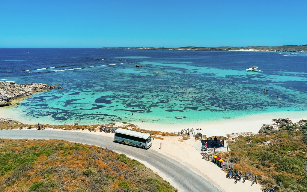 From Fremantle: Rottnest Island Guided Bus Tour with Return Ferry (Ferry Transfers + Guided Bus Tour)