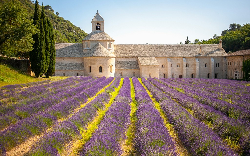 Von Marseille aus: Tour durch die Lavendelfelder (Lavender Sault Full Day Tour)