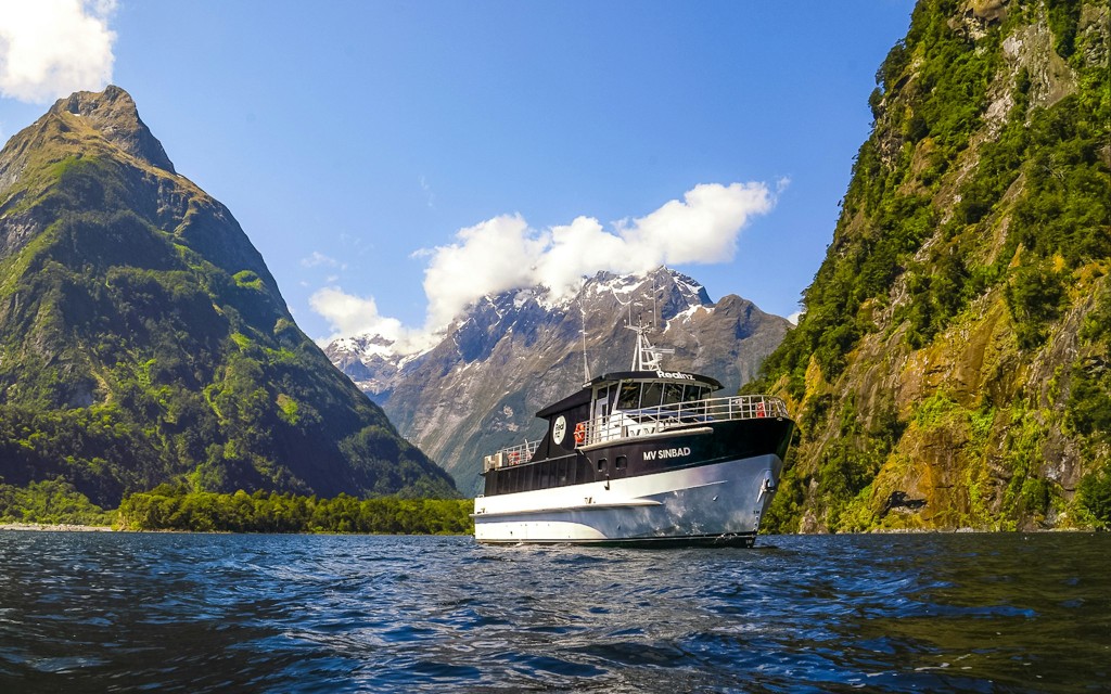 Ab Queenstown: Business Class Milford Sound Tour mit Premium-Schifffahrt + Gourmet-Mittagessen (Return by Fixed-Wing Flight: Luxury Tour & Cruise)
