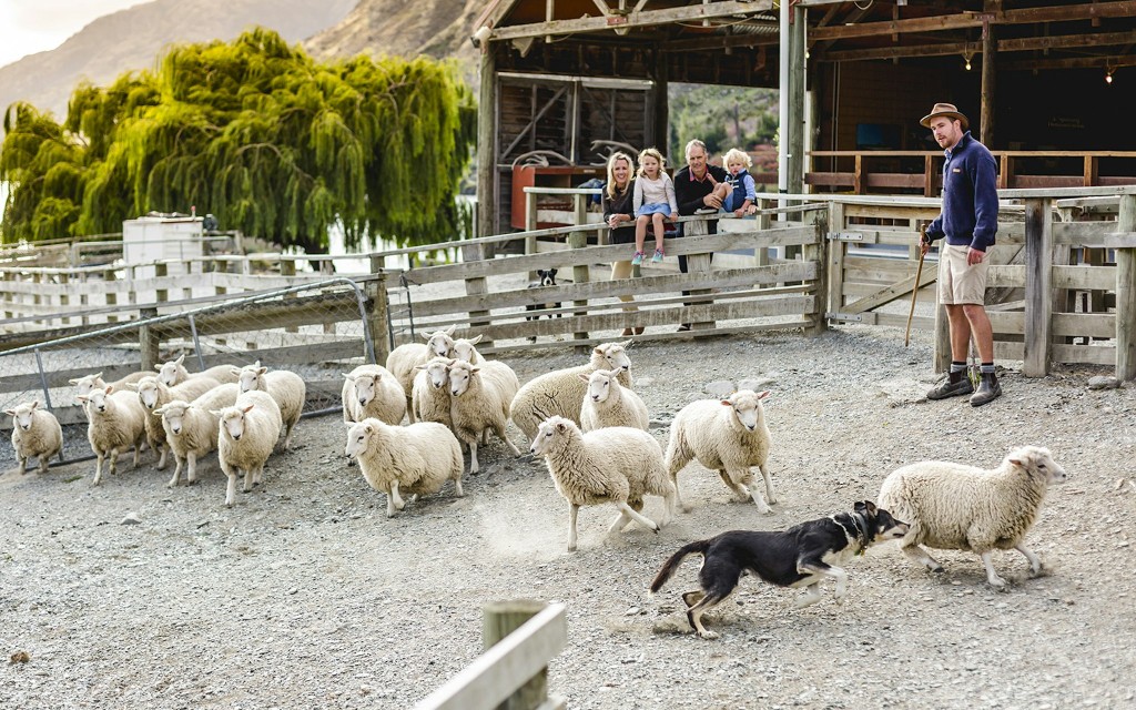 Von Queenstown aus: TSS Earnslaw Lake Wakatipu Kreuzfahrt (TSS Earnslaw Cruise + Walter Peak Farm Tour)