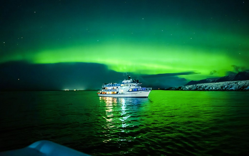 Reikiavik: Crucero turístico por la Aurora Boreal (Northern Lights Cruise with Backup Plan)