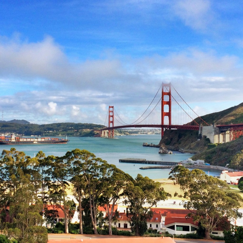 Depuis San Francisco : Excursion d'une journée à Muir Woods et Sausalito - Tour with return trip by bus
