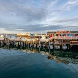 From San Francisco: Full Day Monterey and Carmel Tour